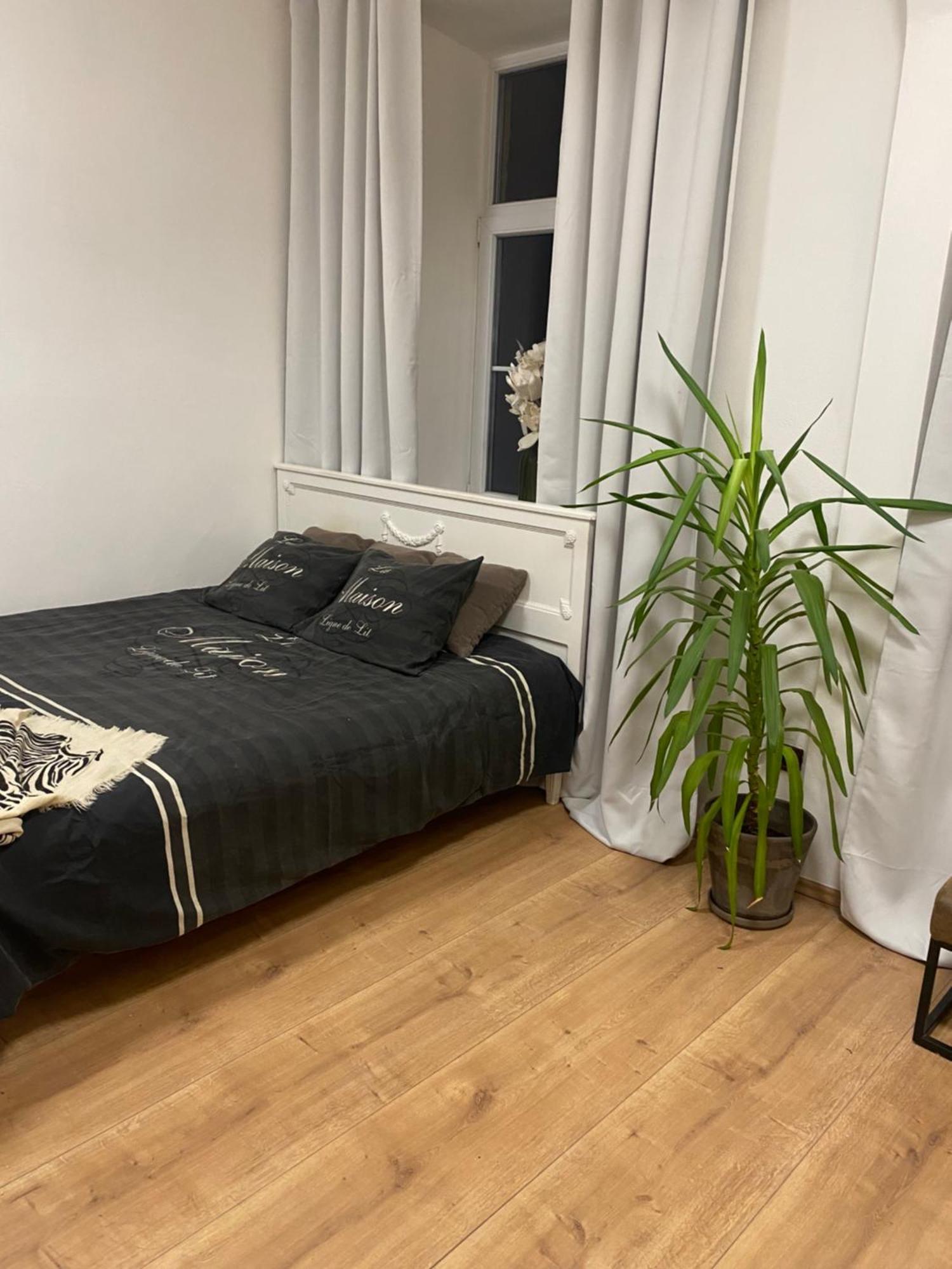 Apartman Trznice أولوموك المظهر الخارجي الصورة